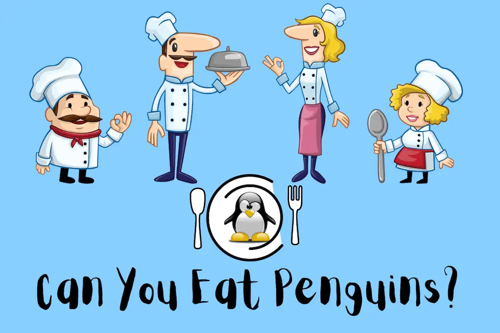Can You Eat Penguins