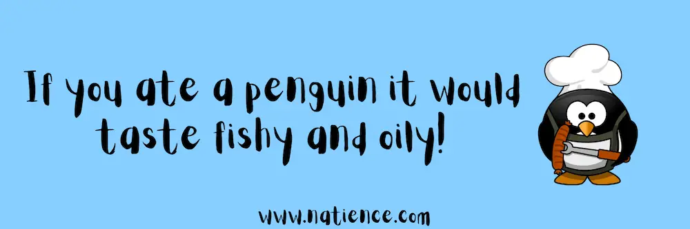 What Does A Penguin Taste Like