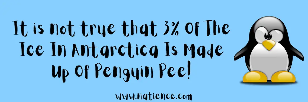 What Percentage Of Ice In Antarctica Is Penguin Pee