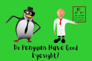 Do Penguins Have Good Eyesight?